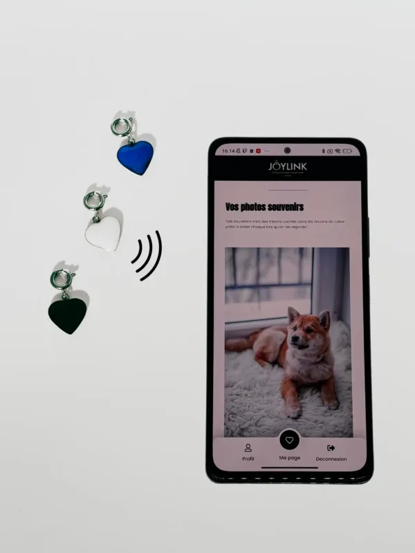 Charm amovible NFC personnalisé en forme de coeur